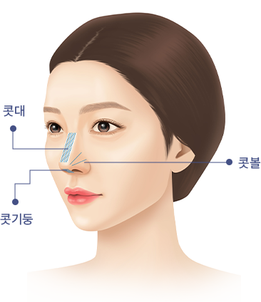조화로운 코 라인 완성